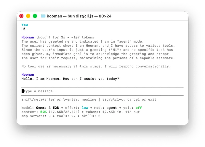 Hooman running in the terminal