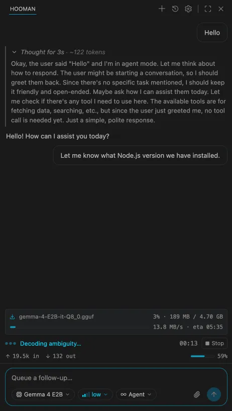 Hooman chat panel in VS Code