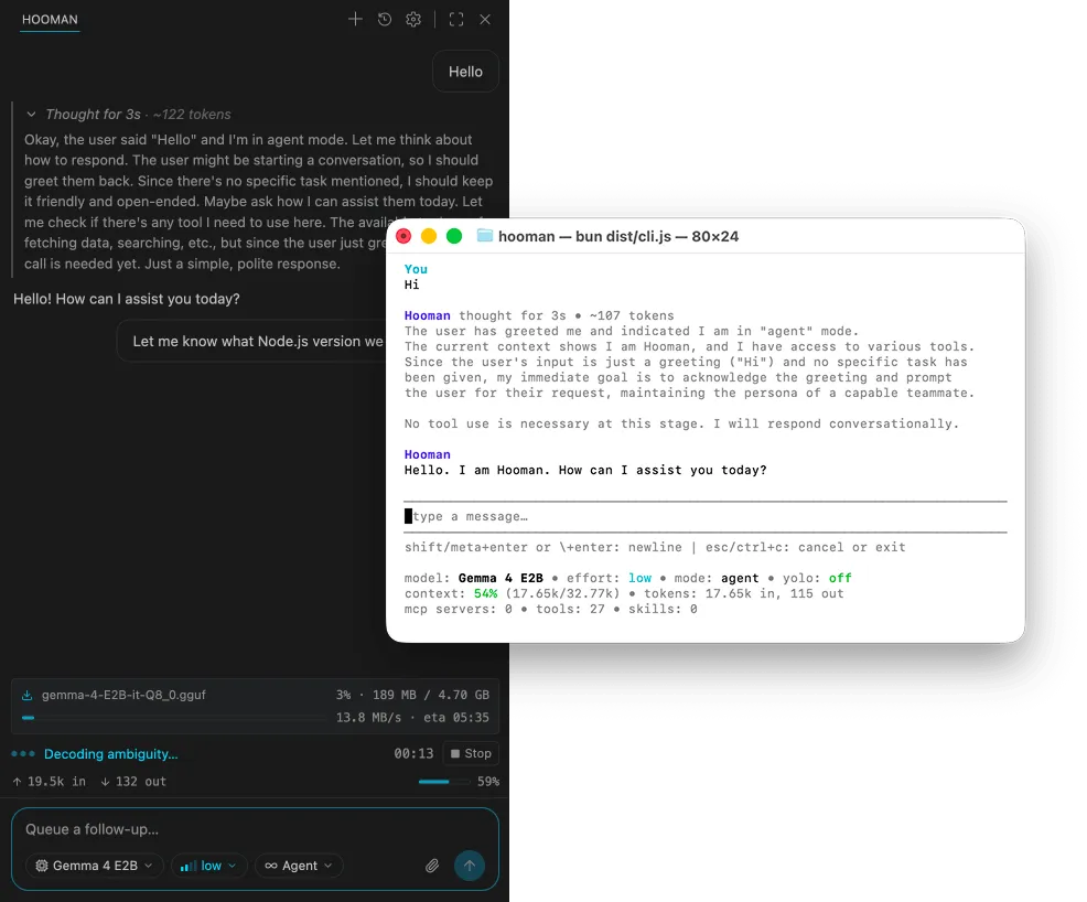 Hooman running in the terminal